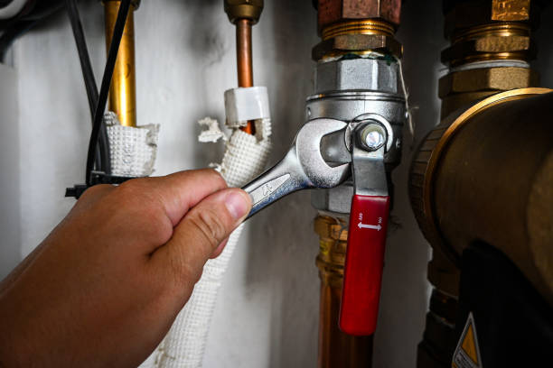 Best Best Plumbers Near Me  in Tiffin, IA
